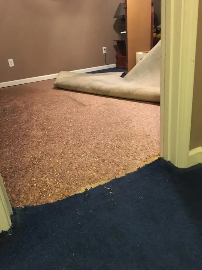 Carpet pad removal revealing water damage during Drying & Dehumidification in Neshannock