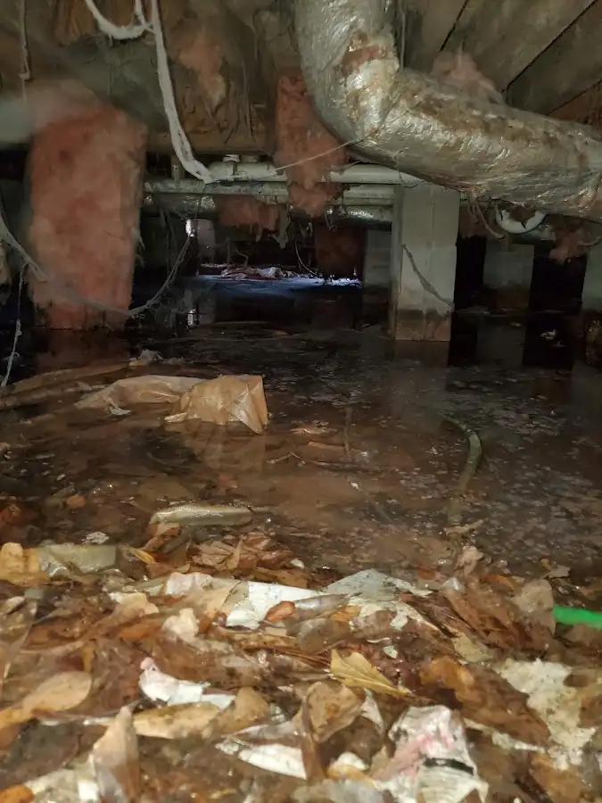 Crawl space flood assessment for Leak Detection & Repair in Neshannock
