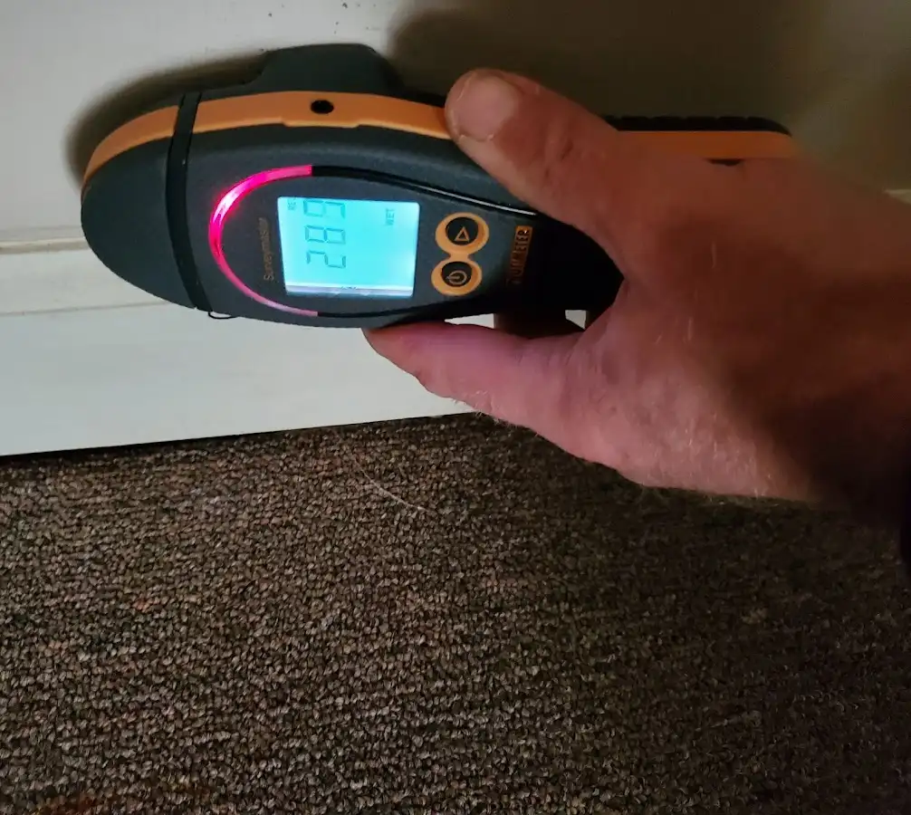 Moisture detection at baseboard during Sewage Cleanup & Sanitation in Neshannock